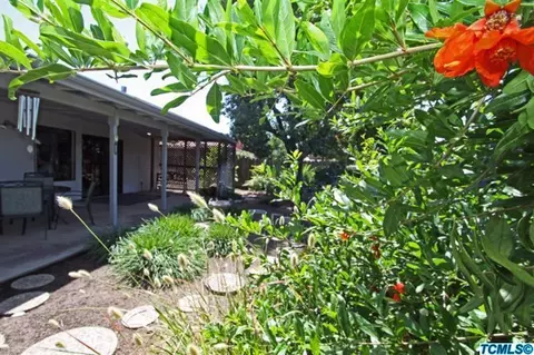 726 E Kip Patrick Dr, Reedley, CA 93654 photo 44