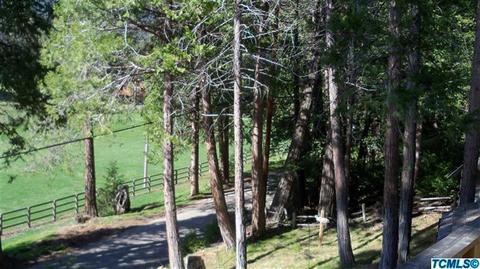 1538 Nelson Dr, Camp Nelson, CA 93208 photo 21