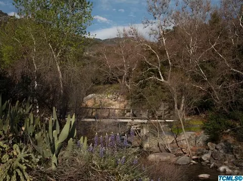 48008 S Fork Dr, Three Rivers, CA 93271 photo 2