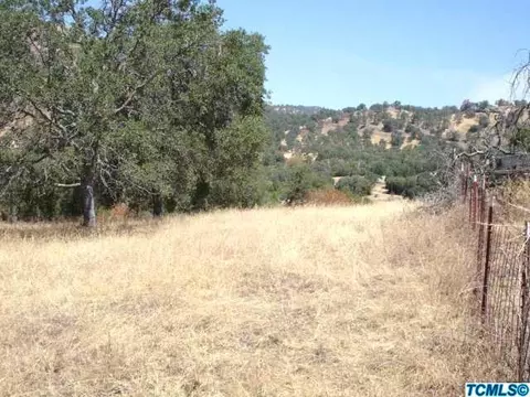 44897 Longview Rd, Squaw Valley, CA 93675 photo 7