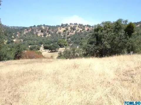44897 Longview Rd, Squaw Valley, CA 93675 photo 8