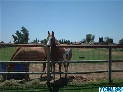 19043 Avenue 300, Exeter, CA 93221 photo 5
