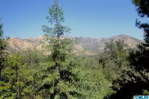 42105 S South Fork Dr, Three Rivers, CA 93271 photo 15