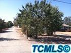 20137 Road 192, Strathmore, CA 93267 photo 2