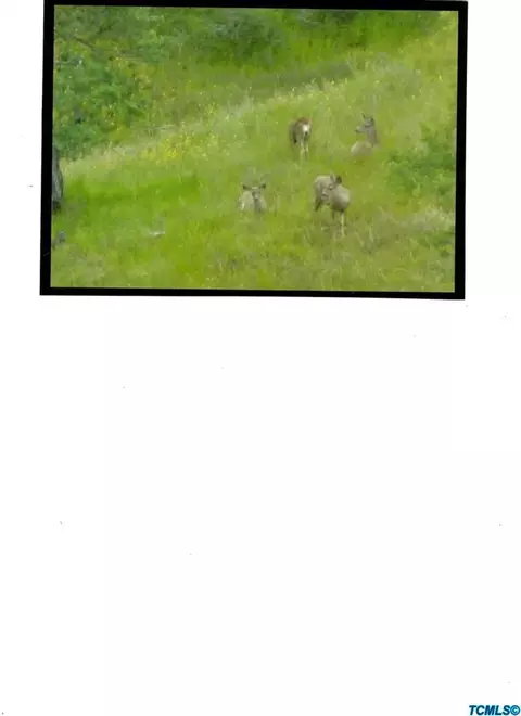 38258 E Kings Canyon Rd, Dunlap, CA 93621 photo 21