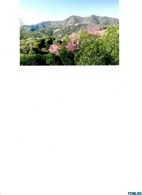 38258 E Kings Canyon Rd, Dunlap, CA 93621 photo 29