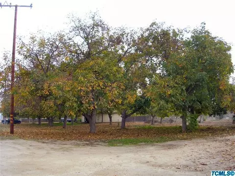 4105 E Walnut Ave, Visalia, CA 93292 photo 4