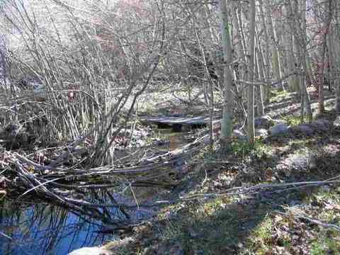 43 Appleton Rd, Crowley Lake, CA 93546 photo 4