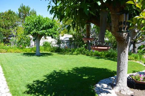 2215 Mccree Ave, Bishop, CA 93514 photo 8