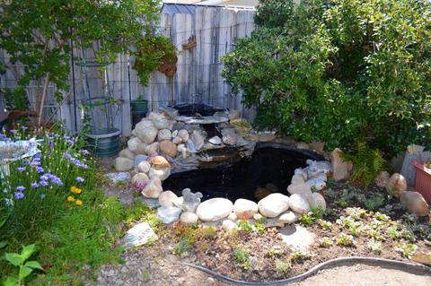 2215 Mccree Ave, Bishop, CA 93514 photo 19