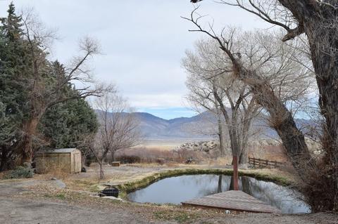 29 Quail Ln, Bishop, CA 93514 photo 5