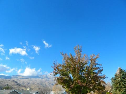27 Bette Lou Ln, Big Pine, CA 93513 photo 15