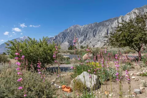 85 Cougar Run, Swall Meadows, CA 93514 photo 4