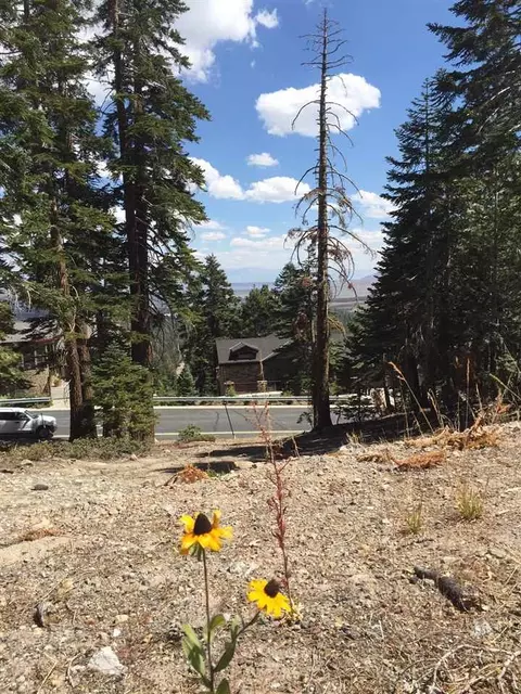 2 Greyhawk Ct, Mammoth Lakes, CA 93546 photo 6