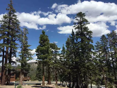2 Greyhawk Ct, Mammoth Lakes, CA 93546 photo 5