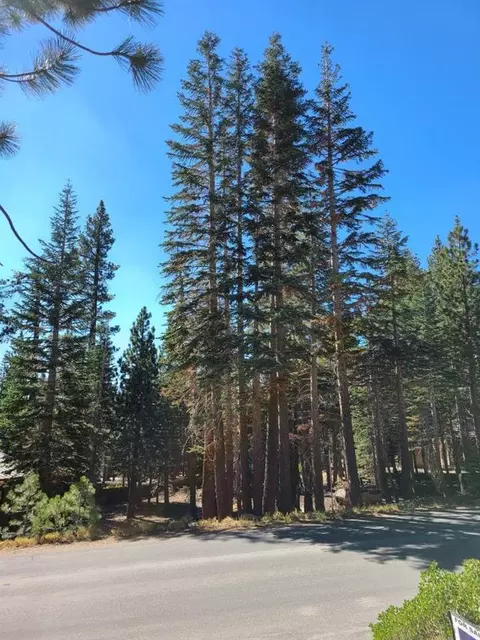 29 St Anton Cir, Mammoth Lakes, CA 93546 photo 3