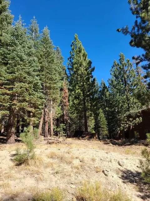 29 St Anton Cir, Mammoth Lakes, CA 93546 photo 4