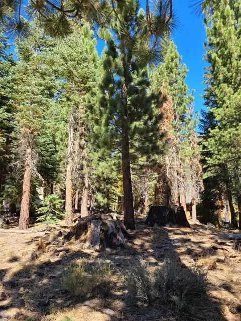 29 St Anton Cir, Mammoth Lakes, CA 93546 photo 7