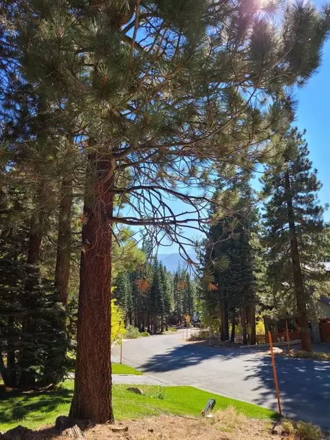 29 St Anton Cir, Mammoth Lakes, CA 93546 photo 2