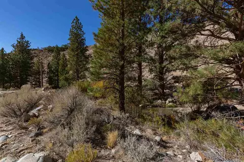 215 Upper Canyon Rd, Bishop, CA 93514 photo 7
