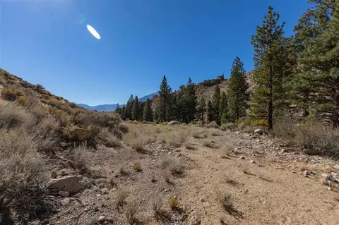 215 Upper Canyon Rd, Bishop, CA 93514 photo 4