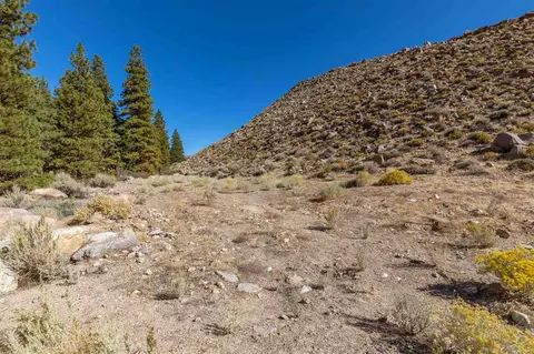 215 Upper Canyon Rd, Bishop, CA 93514 photo 3