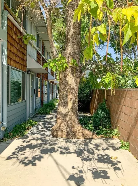 686 Keough St, Bishop, CA 93514 photo 4