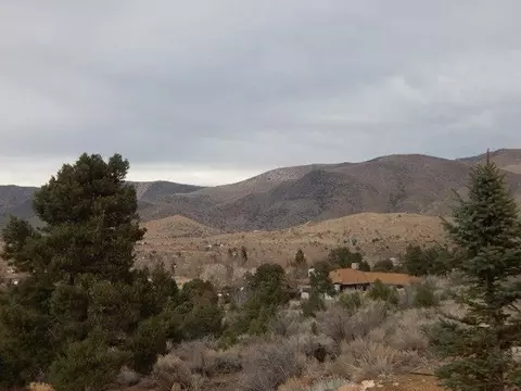 151 Pinenut Rd, Coleville, CA 96107 photo 4