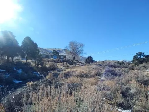 151 Pinenut Rd, Coleville, CA 96107 photo 7