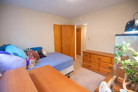 3099 Mesquite Rd, Bishop, CA 93514 photo 13