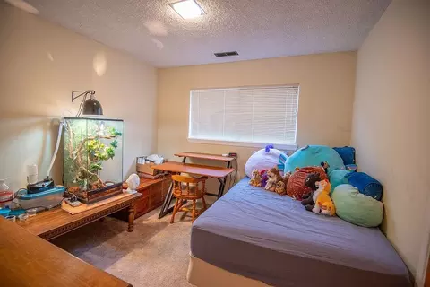 3099 Mesquite Rd, Bishop, CA 93514 photo 12