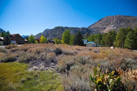 104 Iris Dr, Bishop, CA 93514 photo 5