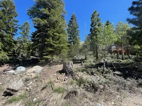 lot7 Block G Kirkwood Dr, Bridgeport, CA 93517