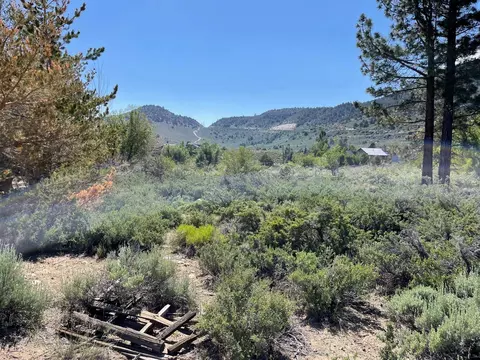 lot25 26 S Landing Rd, Crowley Lake, CA 93546