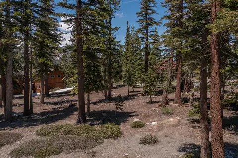 245 Le Verne, Mammoth Lakes, CA 93546