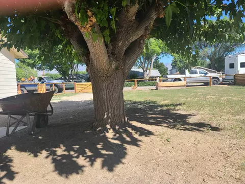 895 Lee St, Bishop, CA 93514 photo 4