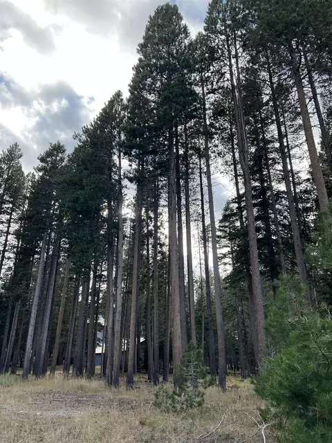 222 Starwood Dr, Mammoth Lakes, CA 93546