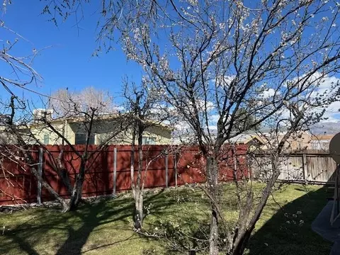 2225 Fiora Ave, Bishop, CA 93514 photo 18