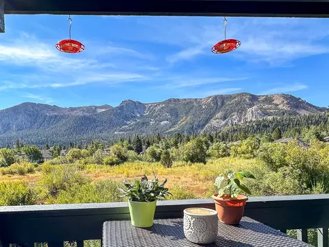 422 White Bark #422, Mammoth Lakes, CA 93546
