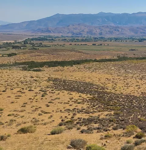 4555 Deer Peak Trl, Bishop, CA 93514 photo 10