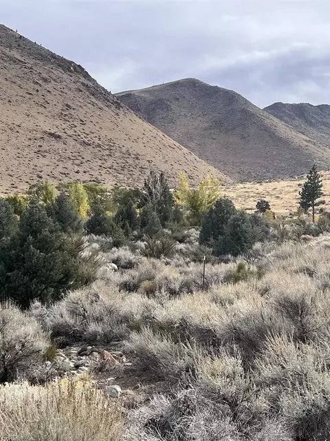 lot Apt 10 Mill Creek Dr, Coleville, CA 96107