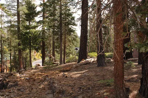 98 Aspen Ln, Mammoth Lakes, CA 93546 photo 15