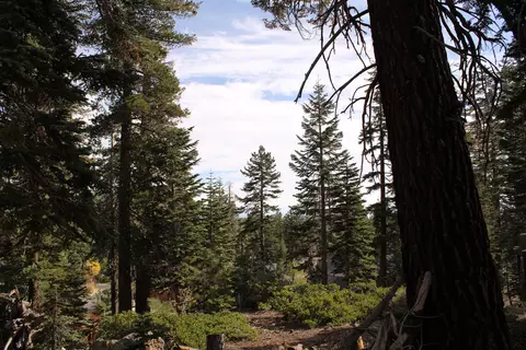 98 Aspen Ln, Mammoth Lakes, CA 93546 photo 17