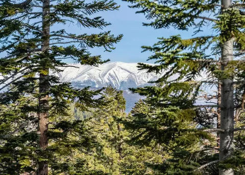 98 Aspen Ln, Mammoth Lakes, CA 93546