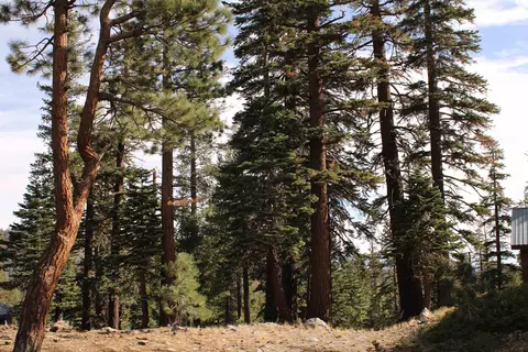 98 Aspen Ln, Mammoth Lakes, CA 93546 photo 16