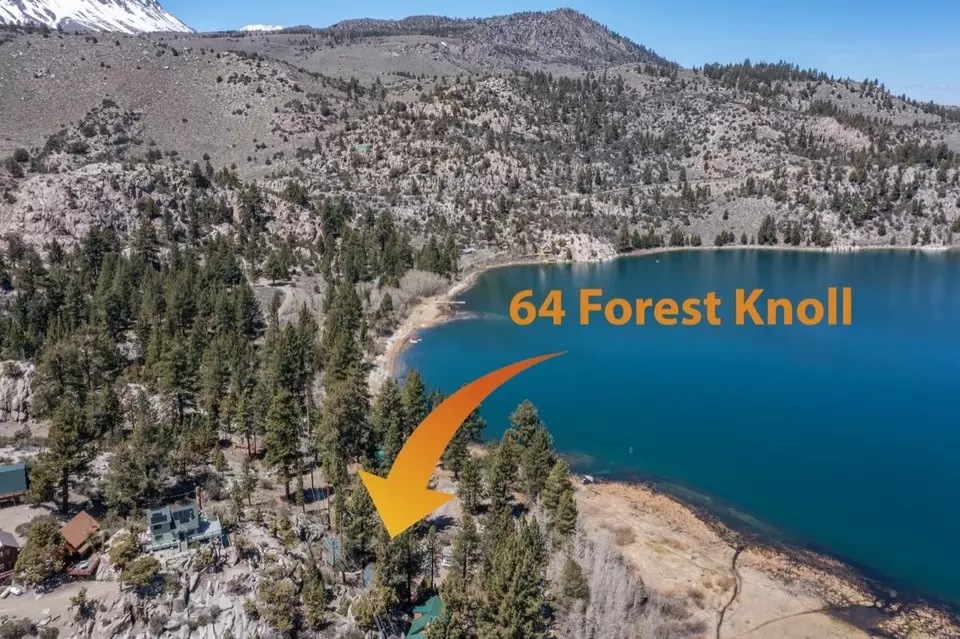 Other - 64 Forest Knoll Rd, June Lake, CA 93529 photo 7 of 11