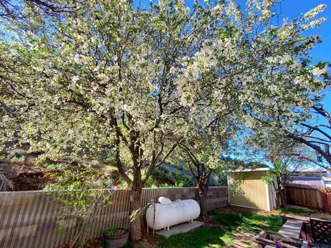 18 Eagle Peak Rd, Bridgeport, CA 93517