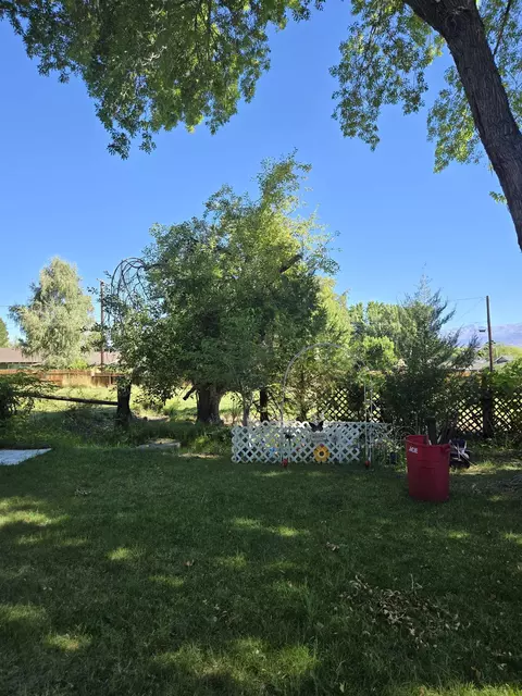 543 Sierra St, Bishop, CA 93514 photo 10
