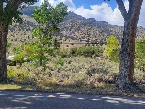 lot4 Us Hwy 395, Topaz, CA 96133