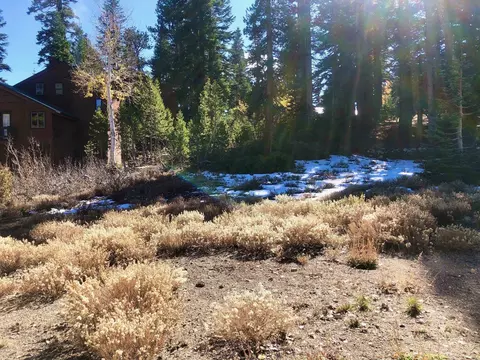 41 Convict Pl, Mammoth Lakes, CA 93546 photo 5